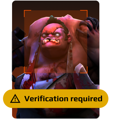 Verification Required